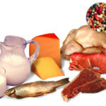 Белок и протеин для снижения веса